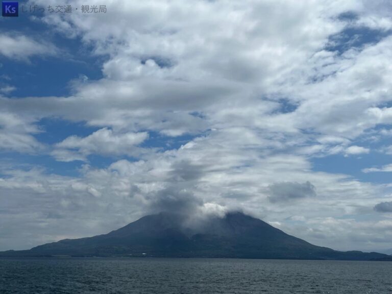 th IMG 3780（大） 768x576