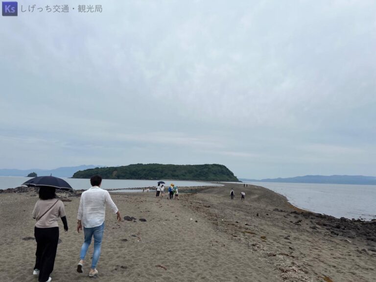 th IMG 3912（大） 768x576