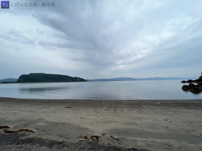 th IMG 3913（大） 768x576