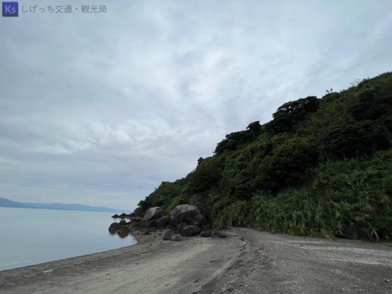 th IMG 3915（大） 768x576