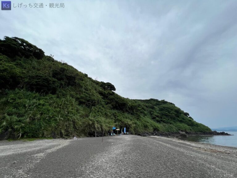 th IMG 3916（大） 768x576