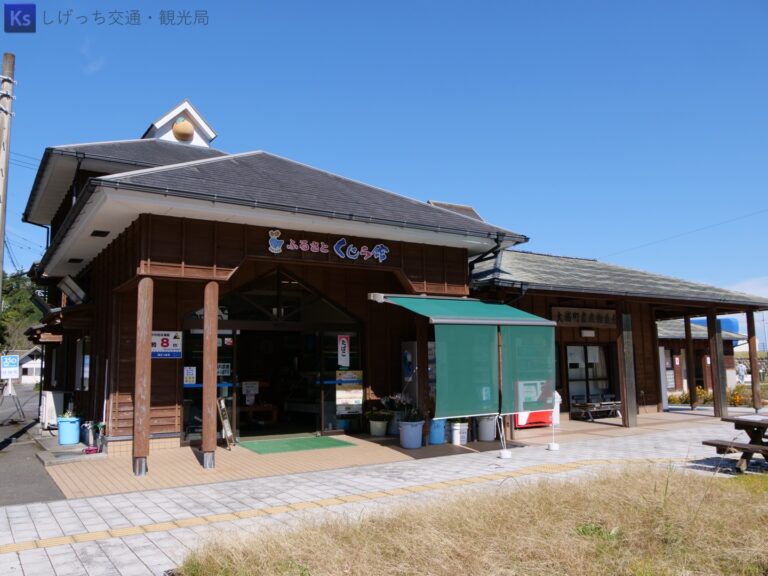 th P1000642 1 768x576