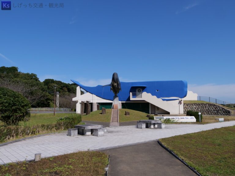 th P1000643 1 768x576