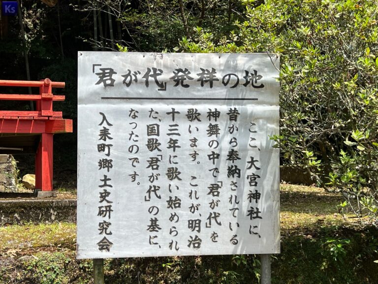 th IMG 20230820 121652 768x576