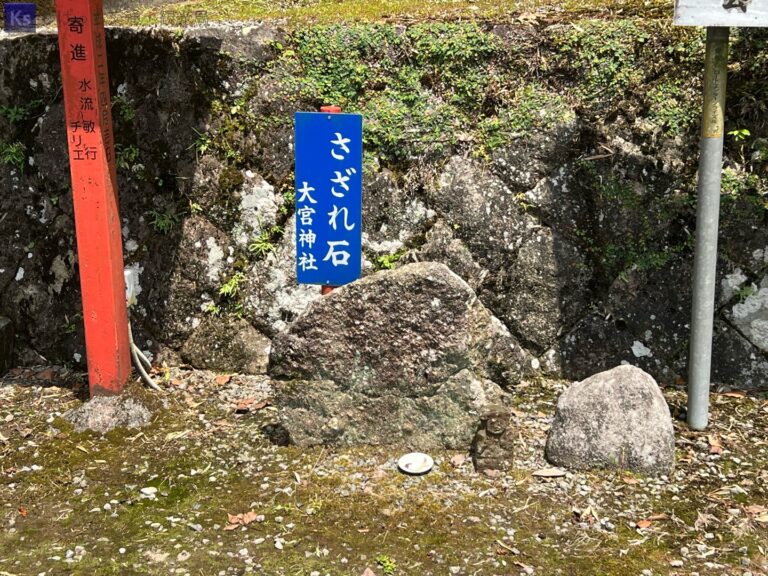 th IMG 20230820 121655 768x576