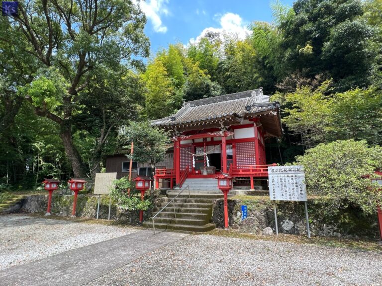 th IMG 20230820 121706 768x576