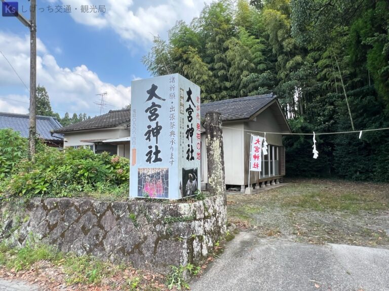 th IMG 20230820 121850 768x576