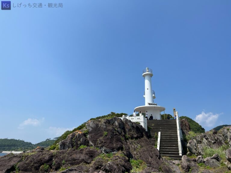 th IMG 6948 1 768x576