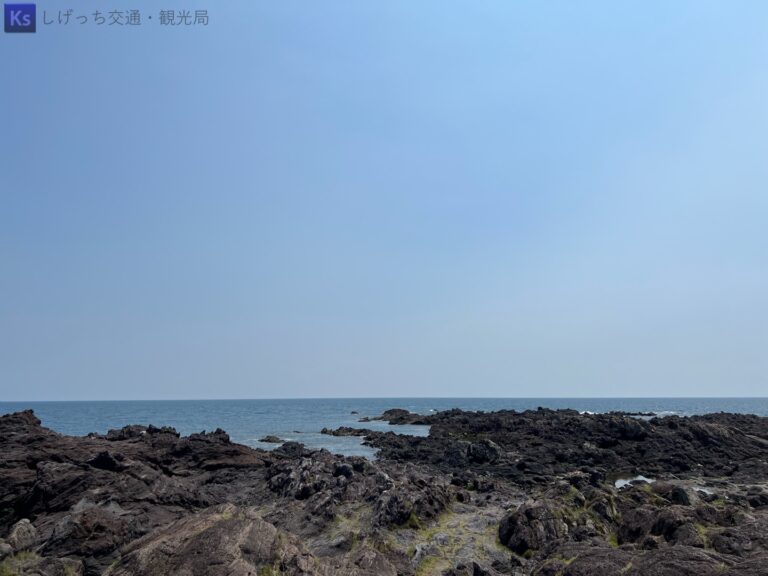 th IMG 6950 1 768x576