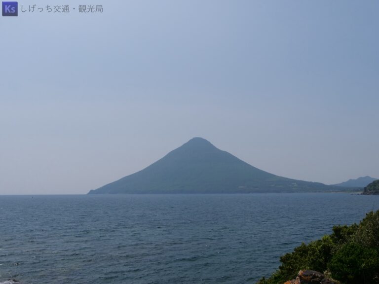 th P1000772 1 768x576